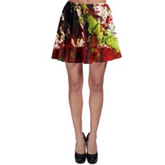 Collosium   Swards And Helmets 4 Skater Skirt by bestdesignintheworld