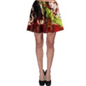 Collosium   Swards And Helmets 4 Skater Skirt View1