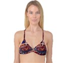 Complexity Chaos Structure Reversible Tri Bikini Top View1
