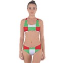 Fabric Christmas Colors Bright Criss Cross Bikini Set View1