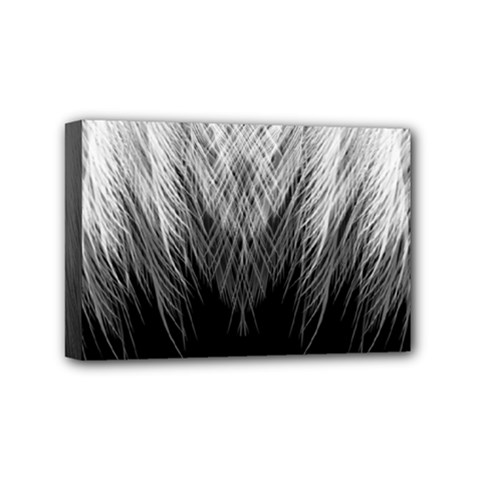 Feather Graphic Design Background Mini Canvas 6  X 4  by Sapixe