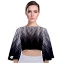 Feather Graphic Design Background Tie Back Butterfly Sleeve Chiffon Top View1