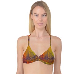 Fiesta Colorful Background Reversible Tri Bikini Top by Sapixe