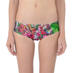 Paint, Flowers And Book Classic Bikini Bottoms by bestdesignintheworld