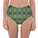 Colorful-29 Reversible High-Waist Bikini Bottoms View1