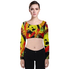 Fish And Bread1/1 Velvet Crop Top by bestdesignintheworld
