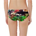 Old Tree And House With An Arch 7 Classic Bikini Bottoms View2