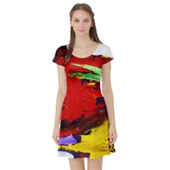 Balboa   Island On A Sand 19 Short Sleeve Skater Dress by bestdesignintheworld