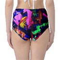 Global Warming 1 Classic High-Waist Bikini Bottoms View2