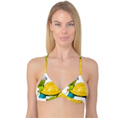 Turtle Sea Turtle Leatherback Turtle Reversible Tri Bikini Top by Sapixe