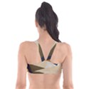 Fabric Textile Texture Abstract Plunge Bikini Top View2