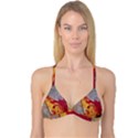 Painting Macro Color Oil Paint Reversible Tri Bikini Top View1