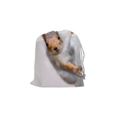 Curious Squirrel Drawstring Pouches (small)  by FunnyCow