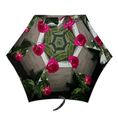 Balboa 5 Mini Folding Umbrellas by bestdesignintheworld