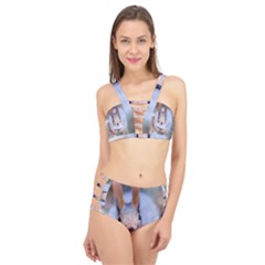 Squirrel Looks At You Cage Up Bikini Set by FunnyCow