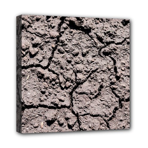 Earth  Dark Soil With Cracks Mini Canvas 8  X 8  by FunnyCow
