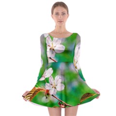 Sakura Flowers On Green Long Sleeve Skater Dress by FunnyCow