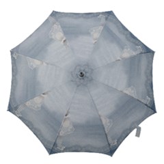 Background 1659631 1920 Hook Handle Umbrellas (small) by vintage2030
