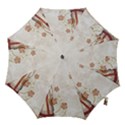 Background 1775358 1920 Hook Handle Umbrellas (Large) View1