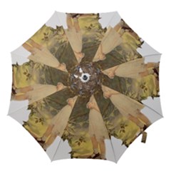 Vintage 1650586 1920 Hook Handle Umbrellas (small) by vintage2030
