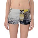 Owl 1462736 1920 Boyleg Bikini Bottoms View1