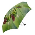 One More Bottle Does Not Hurt Mini Folding Umbrellas View2