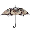 Frame 1775331 1280 Hook Handle Umbrellas (Small) View3