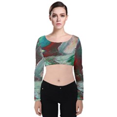 Dreams In Color Velvet Long Sleeve Crop Top by WILLBIRDWELL