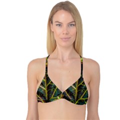Leaf Abstract Nature Design Plant Reversible Tri Bikini Top by Sapixe