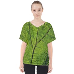 Butterbur Leaf Plant Veins Pattern V-neck Dolman Drape Top by Sapixe