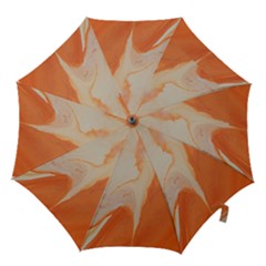 Fire Fall Hook Handle Umbrellas (small) by WILLBIRDWELL