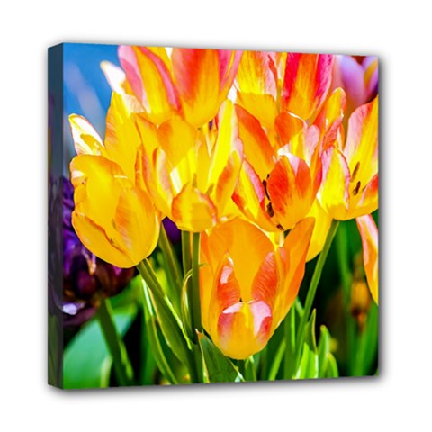 Festival Of Tulip Flowers Mini Canvas 8  X 8  (stretched) by FunnyCow