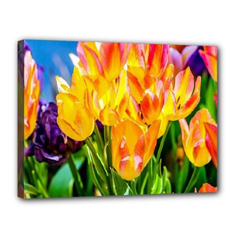 Festival Of Tulip Flowers Canvas 16  X 12  (stretched) by FunnyCow
