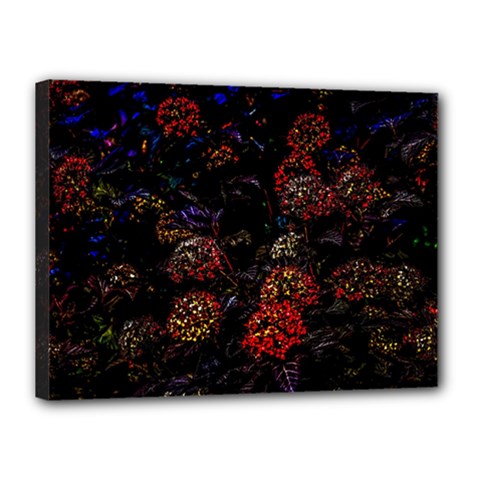 Floral Fireworks Canvas 16  X 12  (stretched) by FunnyCow
