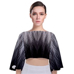 Feather Graphic Design Background Tie Back Butterfly Sleeve Chiffon Top by Nexatart
