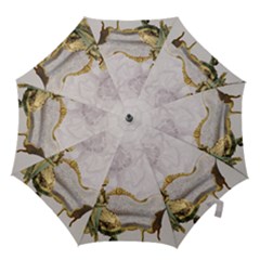 Background 1659612 1920 Hook Handle Umbrellas (medium) by vintage2030