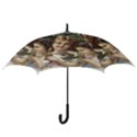 Vintage 1501558 1280 Hook Handle Umbrellas (Small) View3