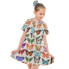 Butterfly 1126264 1920 Kids  Short Sleeve Shirt Dress by vintage2030