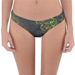 Deep In The Reef Reversible Hipster Bikini Bottoms by ArtByAng