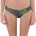 Deep in the Reef Reversible Hipster Bikini Bottoms View3