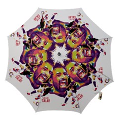 Ap,550x550,12x12,1,transparent,t U1 Hook Handle Umbrellas (small) by 2809604
