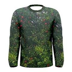 Apple Tree Close Up Men s Long Sleeve Tee by bloomingvinedesign