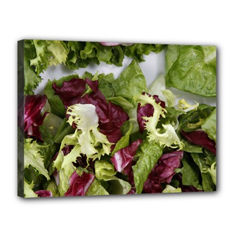 Salad Lettuce Vegetable Canvas 16  X 12  (stretched) by Sapixe