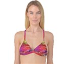 Background Wallpaper Abstract Reversible Tri Bikini Top View3