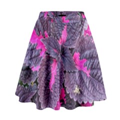Beefsteak Plant Perilla Frutescens High Waist Skirt by Sapixe