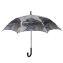 Beautiful Fairy With Swan Hook Handle Umbrellas (Medium) View3