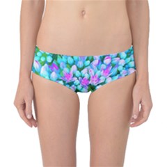 Blue And Hot Pink Succulent Sedum Flowers Detail Classic Bikini Bottoms by myrubiogarden