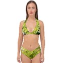 Elegant Chartreuse Green Limelight Hydrangea Macro Double Strap Halter Bikini Set View1