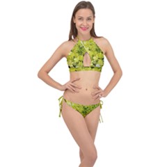 Elegant Chartreuse Green Limelight Hydrangea Macro Cross Front Halter Bikini Set by myrubiogarden