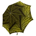 Feather Macro Bird Plumage Nature Hook Handle Umbrellas (Medium) View2